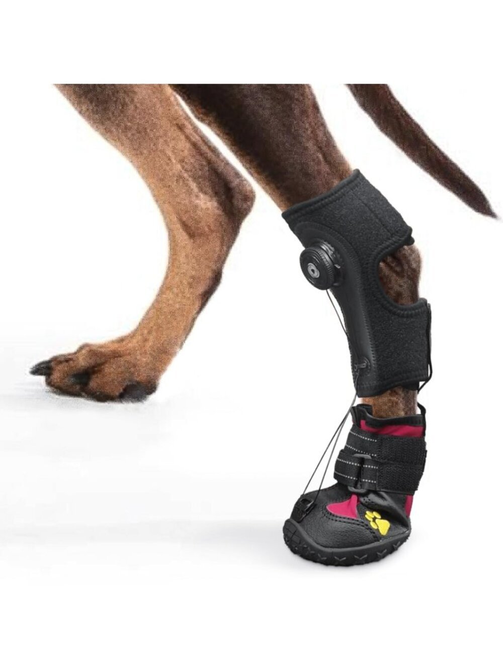 Drop Foot XL Brace with Reel(No Knuckling Boot Brace) for Dog Corrective Shoes